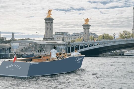 Private Boat Cruise & Walking Tour of Monumental Paris