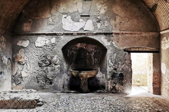 Two-hour guided tour of Herculaneum with an Archaeologist