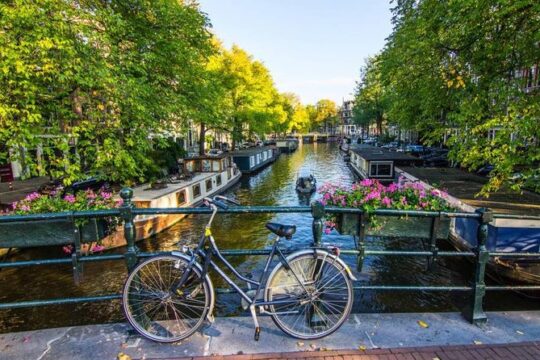 Best of Amsterdam: small-group walking tour