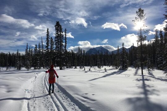 Learn to Cross Country Ski in Lake Louise