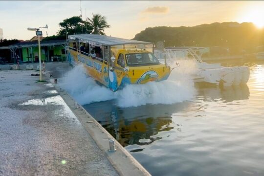 Splashy Iguana Tour in Curacao