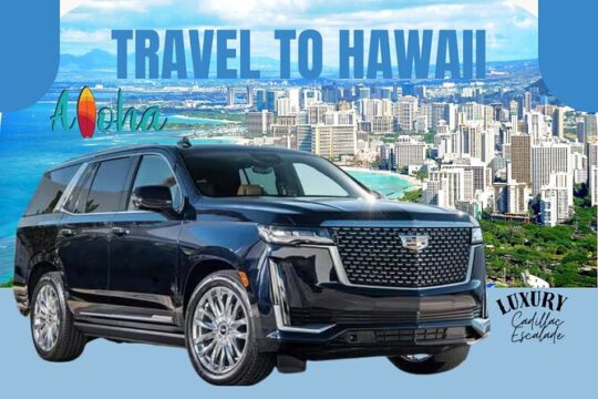 One-Way VIP Transfer: Honolulu Airport to Waikiki, Or Vice Versa