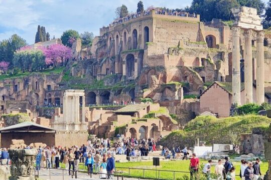 Guided tour of Roman Forum & Palatine Hill