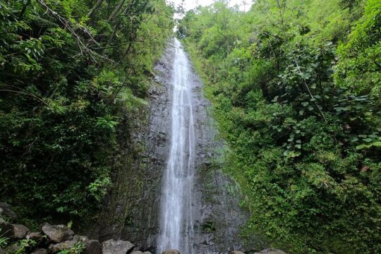 Hawaiian Waterfall Hike and Downhill Bike Tour