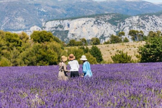 Private Tour of Gorges of Verdon and Fields of Lavender in Nice