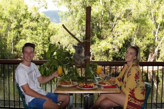 Hartley's Crocodile Adventures Breakfast with the Koalas