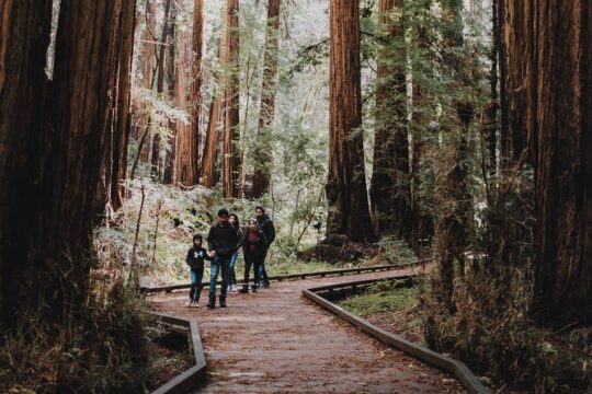 Private Tour of John Muir Redwoods and Sausalito