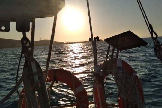 Townsville Sunset Private Sailing Cruise Hire Charter Boat Hens