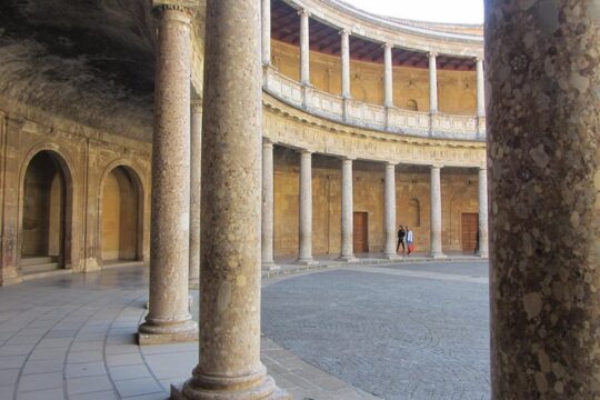 Alhambra private tour (without tickets) total/group Max 15 people