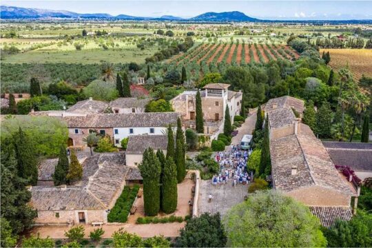 Private Wine Tour Experience in the Mallorcan Heartland