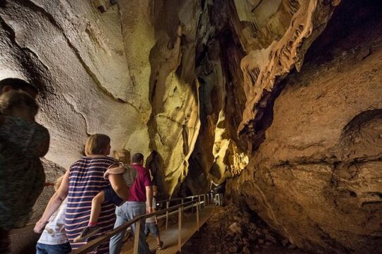 Cutta Cutta Caves Nature Park Guided Tours