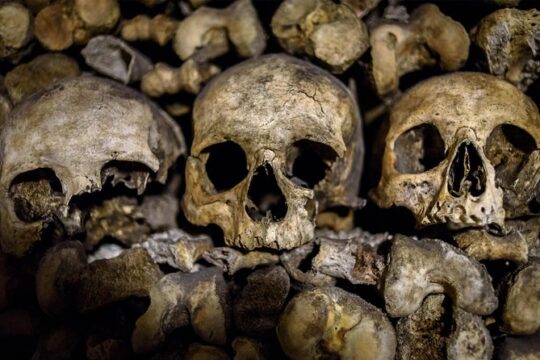 Skip-the-Line: Paris Catacombs Tour with VIP Access to Restricted Areas