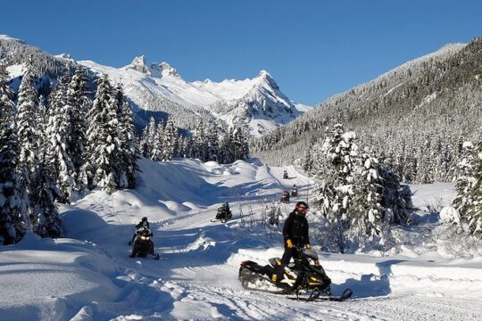 2 Hour Scenic Snowmobile Tour in Whistler
