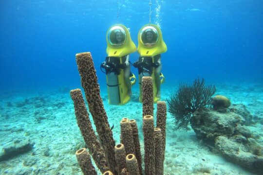 Aquafari Tour in Curaçao