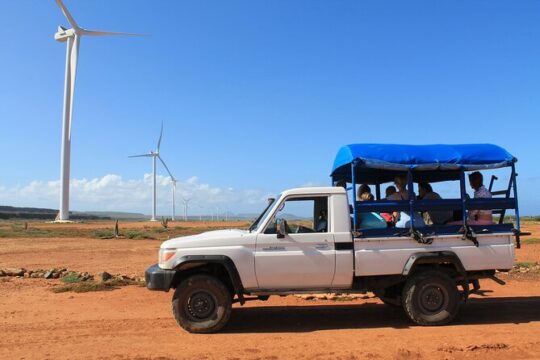 7-Hour Turtle Outback and caves tour