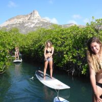 Stand Up Paddleboarding