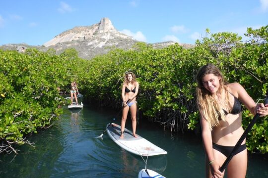 Guided paddleboarding (SUP) mangrove ECO tour for beginners