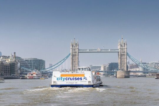 River Thames Sightseeing Cruise - One Way