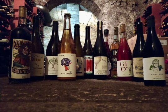 2 Hour Tasting of Overlooked Wines of Rome and Lazio