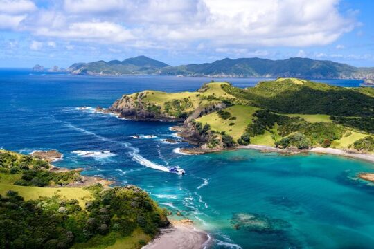 Bay of Islands Discovery Experience from Auckland incl. Hole In The Rock Cruise