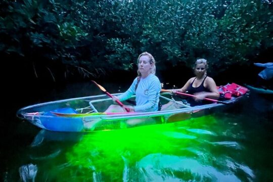 Guided Night Kayak Adventure Tour in Luminous Lagoon