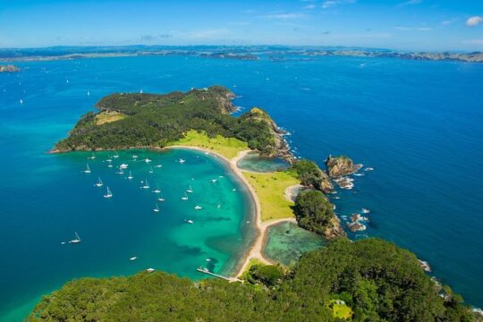 Group tour to Bay of Islands return from Auckland