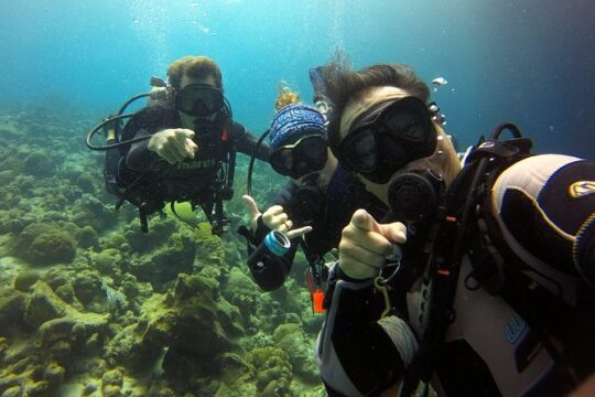 2 tank guided dive House Reef (Pierbaai Reef and Car Pile)