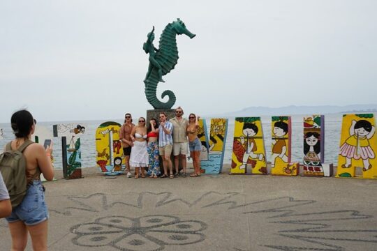 All Vallarta in one day tequila factory