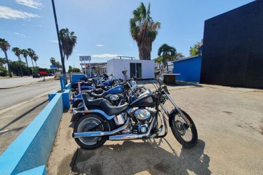 Full day Harley Davidson Rental in Curacao