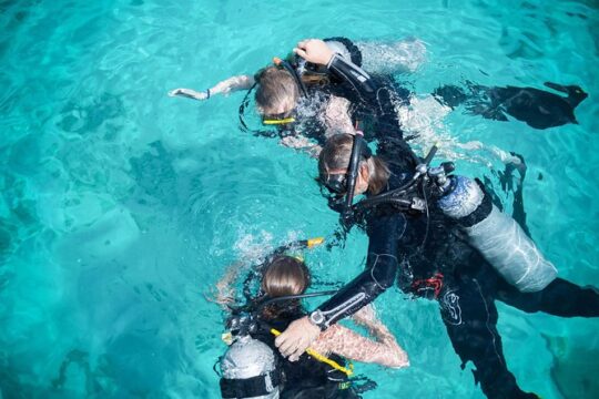 PADI Discover Scuba Dive at 5 Star Dive Center Blue Bay Dive, Curacao