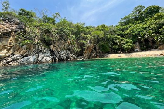 Snorkeling adventure at Majahuitas beach and lunch