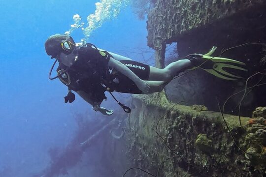 2 guided shore dives in Curacao