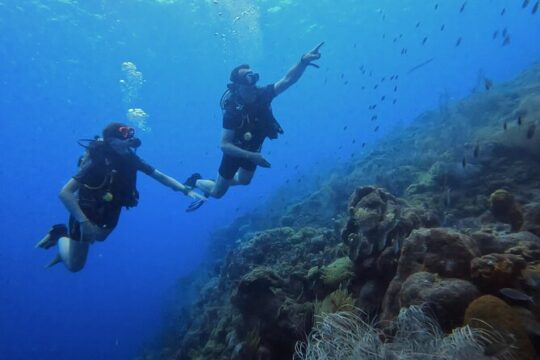 PADI Open Water Course in 3 days